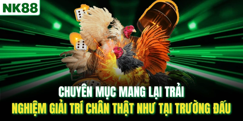 Chuyên mục mang lại trải nghiệm giải trí chân thật như tại trường đấu